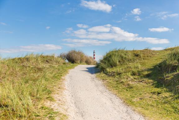 Duinen | Boomhiemke