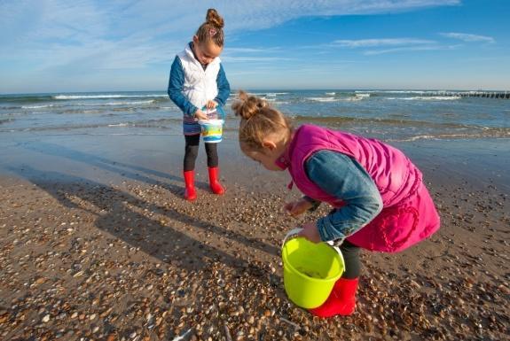 Schelpjes zoeken | Boomhiemke