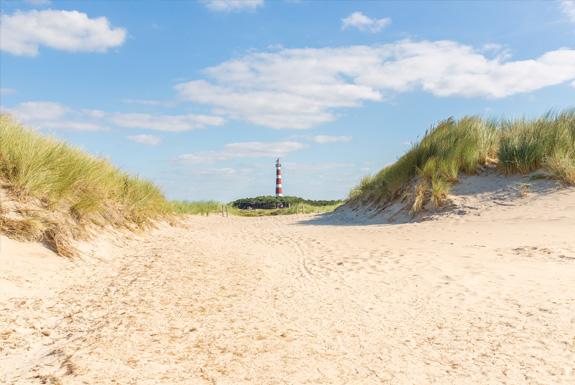 Duinen en vuurtoren | Boomhiemke